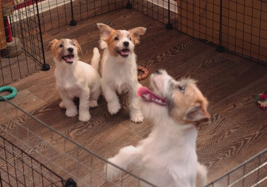 Argentumix solution works strongly against typical odor sources