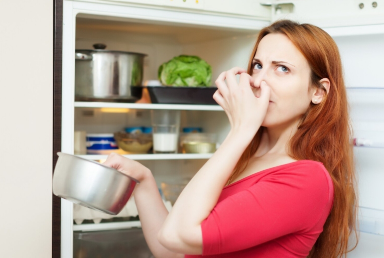 Sustainable refrigerator maintenance for an eco-conscious home