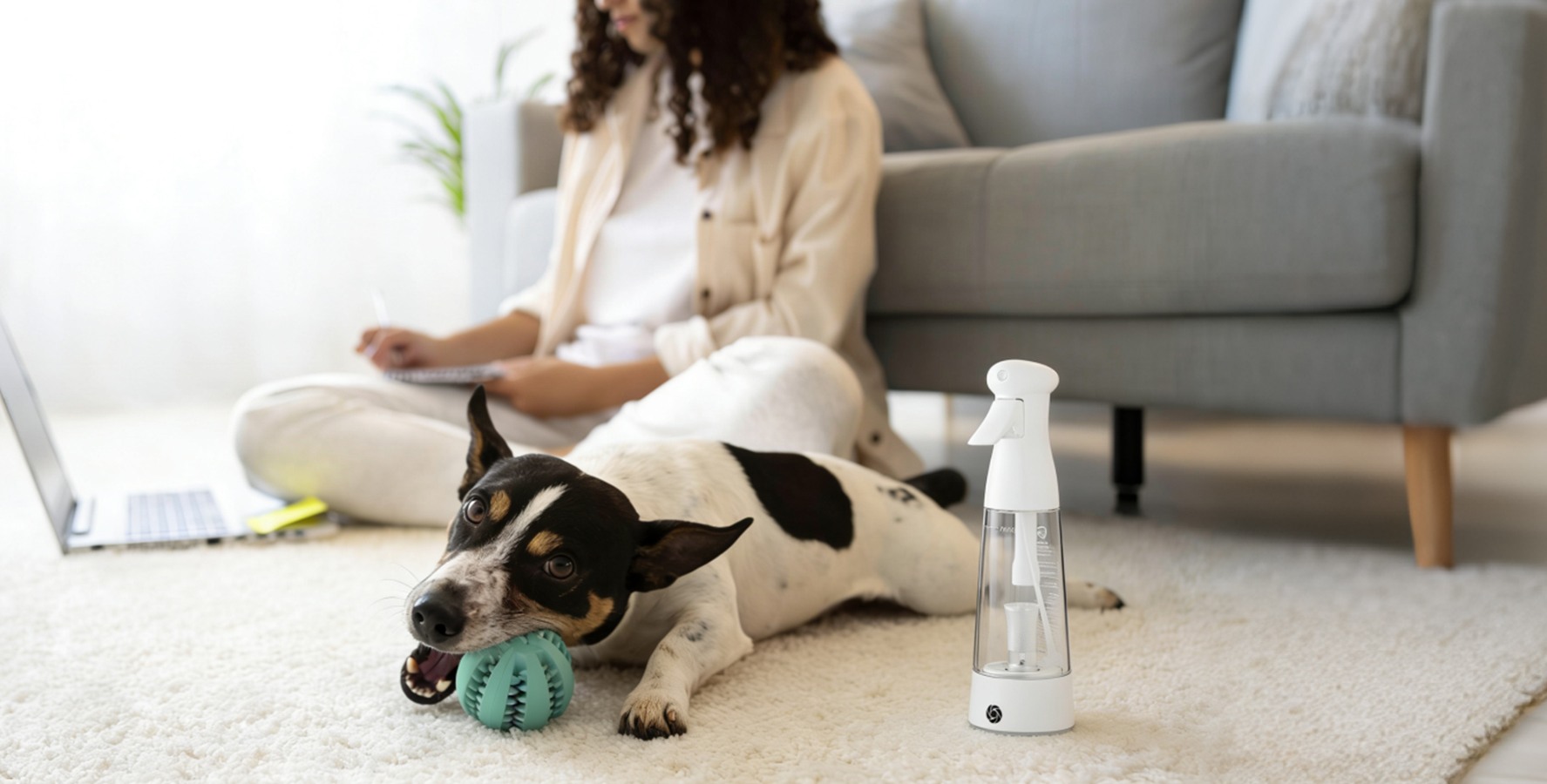 Argentumix offers a straightforward option for treating pet items