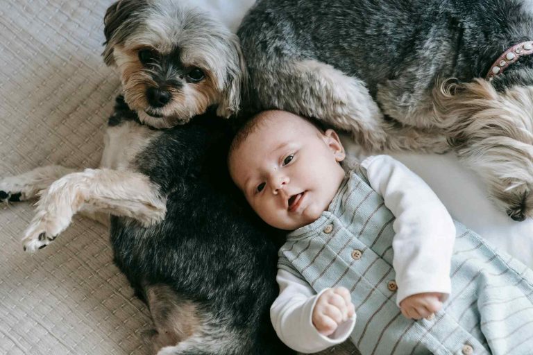 Pets & Toddlers Family-Safe Home Hygiene with Silver Ion Tech