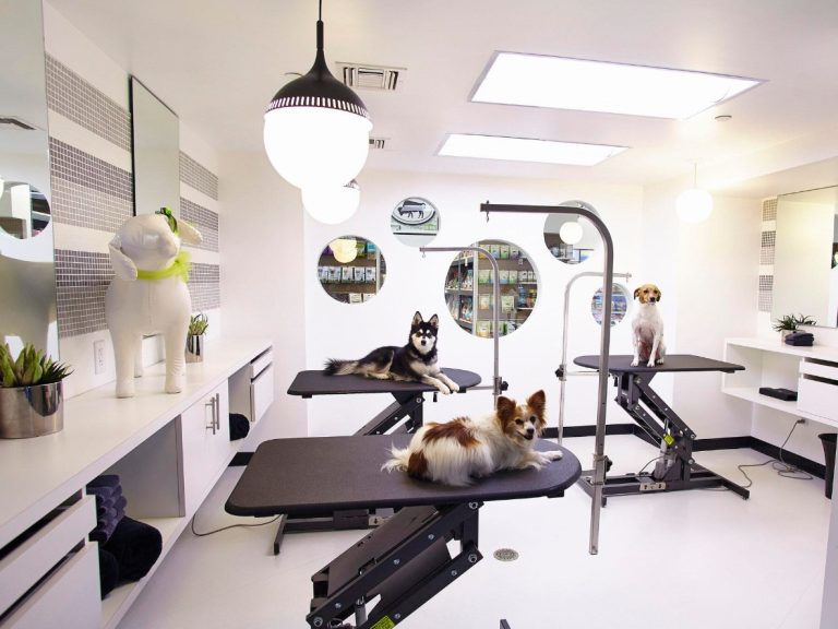 How Unhandled Commercial Pet Odors Hurt Client Retention Rates