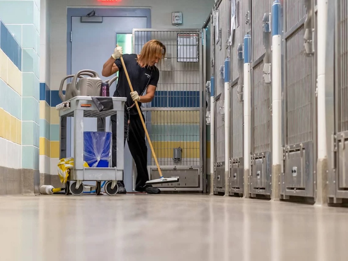 How On-Demand Silver Ion Water Cuts Commercial Kennel Deodorization Costs by up to 70%